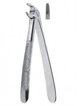 Extracting Forceps
